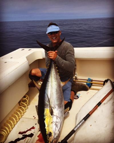 large yellowfin